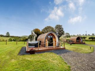 Chestnut Uk36261 - Llanfair Caereinion - 7