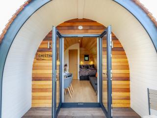 Chestnut Uk36261 - Llanfair Caereinion - 2
