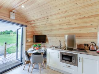 Chestnut Uk36261 - Llanfair Caereinion - 5