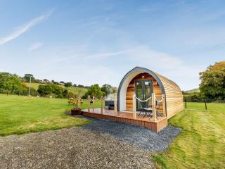 Chestnut Uk36261 - Llanfair Caereinion - 1