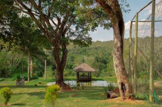 Sítio mini fazenda em Lagoa Santa - Lagoa Santa - 2