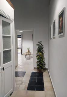 Apartamentos Casa Vicario - Jerez de la Frontera - 7
