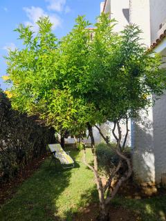 Eden Medina Asilah - 6