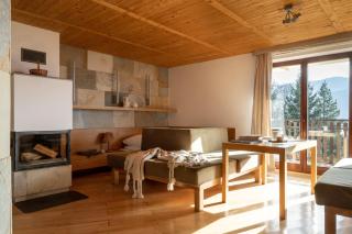 Apartamenty Panoramiczne Koscielisko APARTZAKOP - Kościelisko - 8