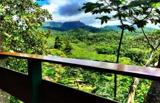 L'Auberge Polynésienne - 7