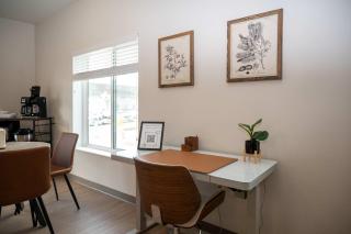 HUGE New Apartment Next to Mayo, Free Parking - Rochester - 4