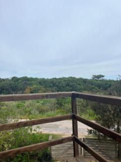 Proa Amarilla - Punta del Este - 3