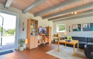 Holiday Home Møllehusvej Iv - Blåvand - 6