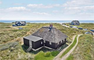 3 Bedroom Gorgeous Home In Blåvand - 0