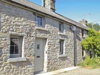 Ivy Bush Cottage - Llanddewi-Brefi - 9