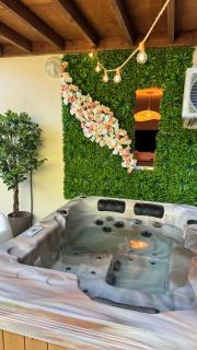 Oasis des hauts - Saint-Denis - 8