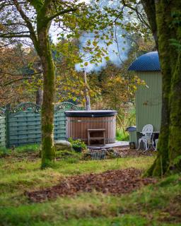 Shepherds hut - 8
