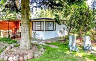 Ferienhaus Ueckermünde Bellin - Bellin - 6