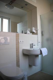 Hotel Thüringer Hof - Rudolstadt - 1