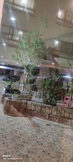 READY TO RENT PARTITIONS BED SPACEs & ROOMS - 3