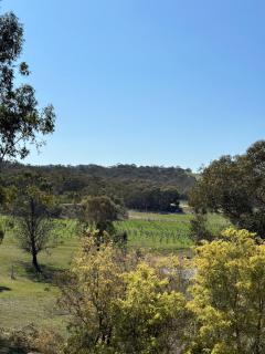 Grape Farm Cottage with picturesque vineyard views - 8
