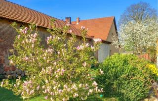 Ferienwohnung Rheinsberg - 2