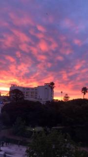 Departamento viña del mar - Viña del Mar - 1