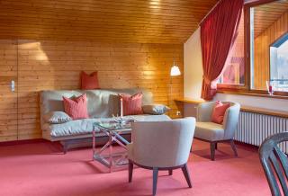 Ferienresort am Mattenweg - Hinterzarten - 1