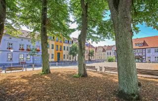 Ferienhaus Wesenberg - Wesenberg - 5