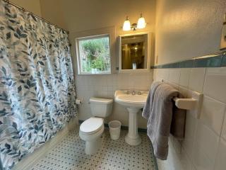 Beautiful Aububon Park Uptown Home - New Orleans - 8