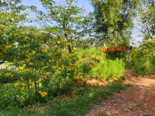 Littleduck bungalow Koh Chang Ranong - 9