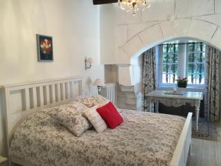 Loire Valley Medieval Getaway - Rochecorbon - 5
