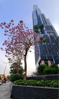 Vinhomes Landmark Luxury Apartment by Navie - Ho Chi Minh - 8