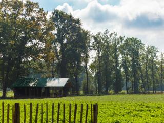 Luxury Lodge in Twente with Meadow Views - 4