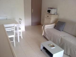 Studio cabine climatisé avec piscine et parking au Grau du Roi - FR-1-731-98 - 5