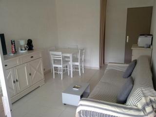 Studio cabine climatisé avec piscine et parking au Grau du Roi - FR-1-731-98 - 6