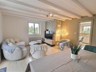 Maison spacieuse à Colmar, 5 chambres, terrasse, WiFi, parking gratuit - FR-1-722-12 - Colmar - 5