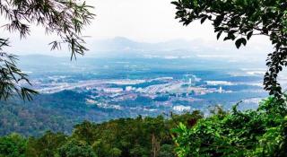 Luscious Hotel - George Town - 6