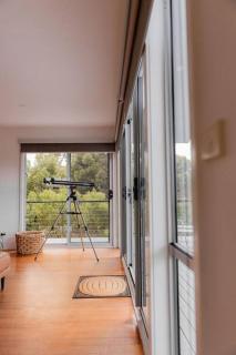 Suntrap Cove - you and the ocean - Bicheno - 2