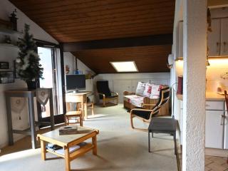 Confortable 3 pièces, 6 pers, balcon sud, proche télésiège, animaux OK, parking, WiFi - FR-1-676-202 - Châtel - 0