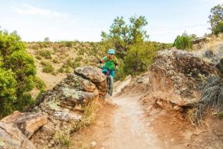Cedar Mountain Bunkhouse cabin - Montrose - 2