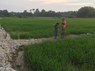 D'Bendang Homestay - Tumpat - 4