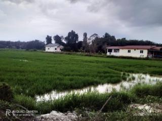 D'Bendang Homestay - Tumpat - 1