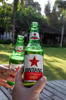 S Resorts Hidden Valley Bali - 1