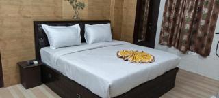 Hotel Ravi BR Group - Jaipur - 2