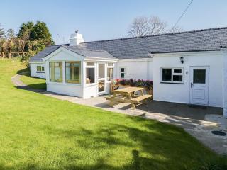 Bryn Eithin - Cottage - Moel-tryfan - 0