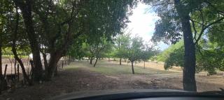 El Ceibo - Villa Las Rosas - 1