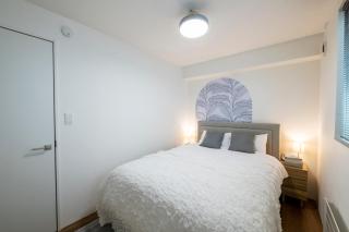 Nakajima Nouveau - Sapporo - 8