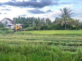 D'Bendang Homestay - Tumpat - 5