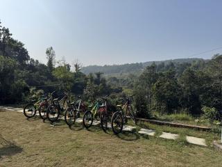 Saraiville- A Boutique Riverside Resort - 2