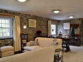 The Mill - Tregaron - 8