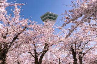 Four Points Flex by Sheraton Hakodate Station - Hakodate - 4