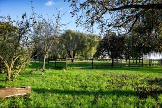 Agri Village Pavia - 4