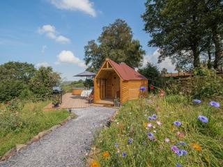 Dol Y Mynydd The Mountain Meadow - Cottage - Llangerniew - 0
