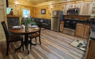 282 Cozy Cub cabin - Gatlinburg - 2